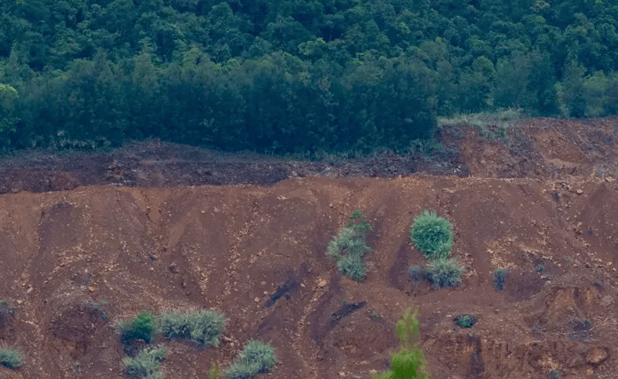 Pembalakan Hutan di Luwu Timur