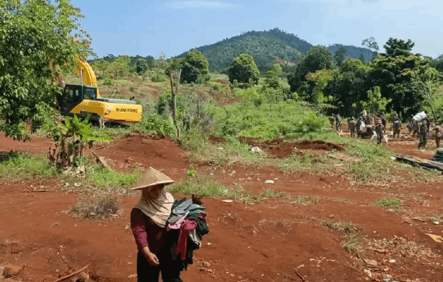 Pengosongan lahan Laoli di Luwu Timur
