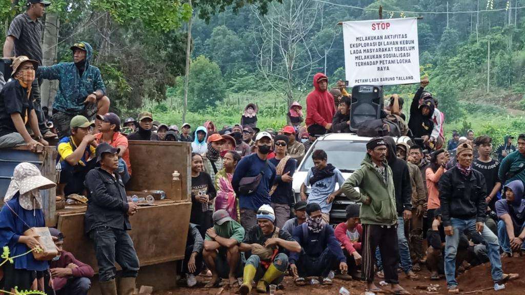 Petani Tanamalia